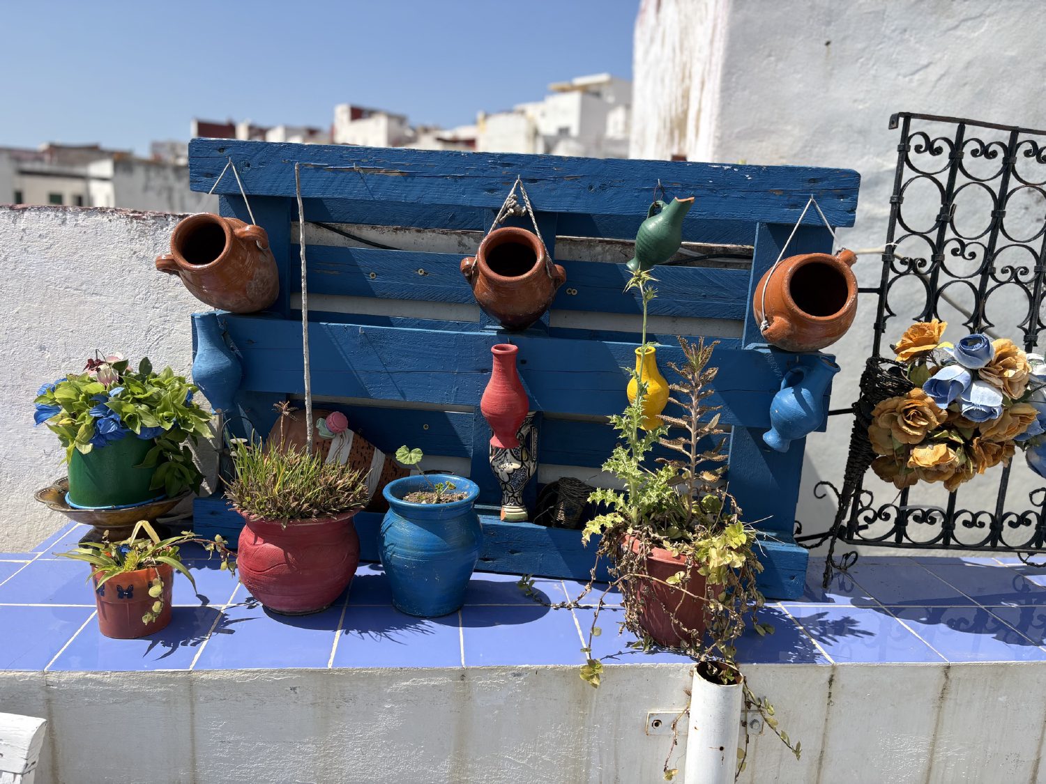صورة ٢٦ من ٣٨ — أحدث الصور