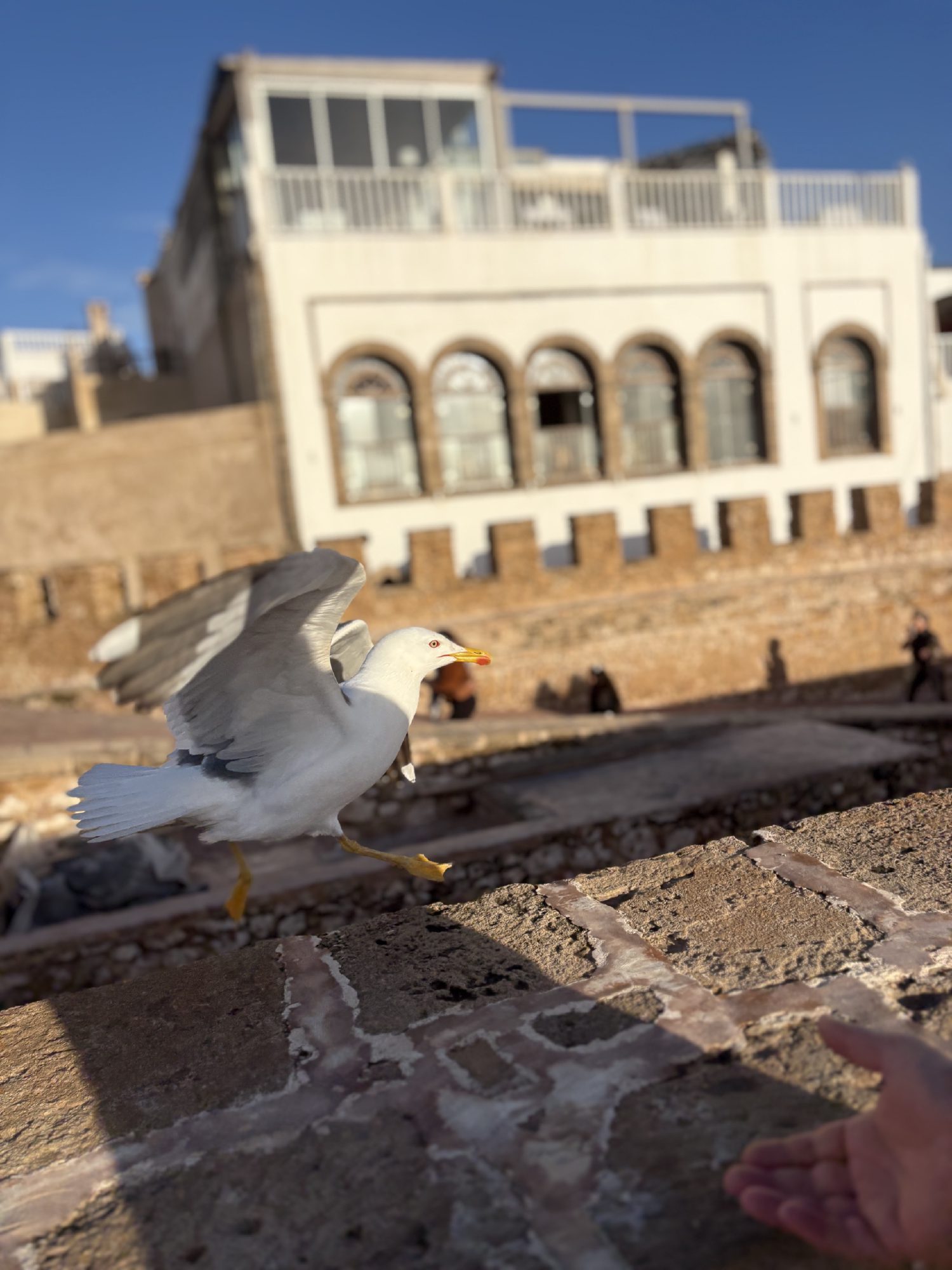 صورة ٣٧ من ٣٨ — أحدث الصور