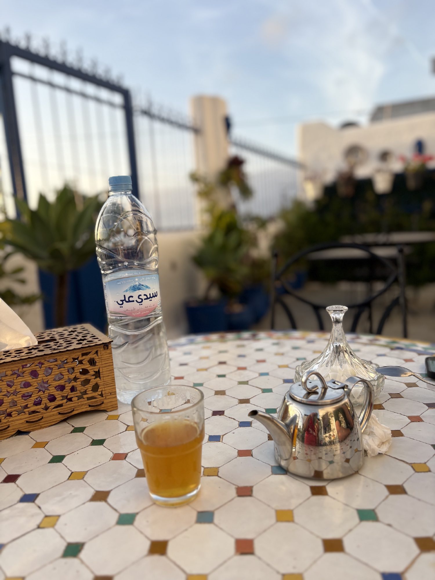 صورة ٩٥ من ١٠٠ — صور ٠٩