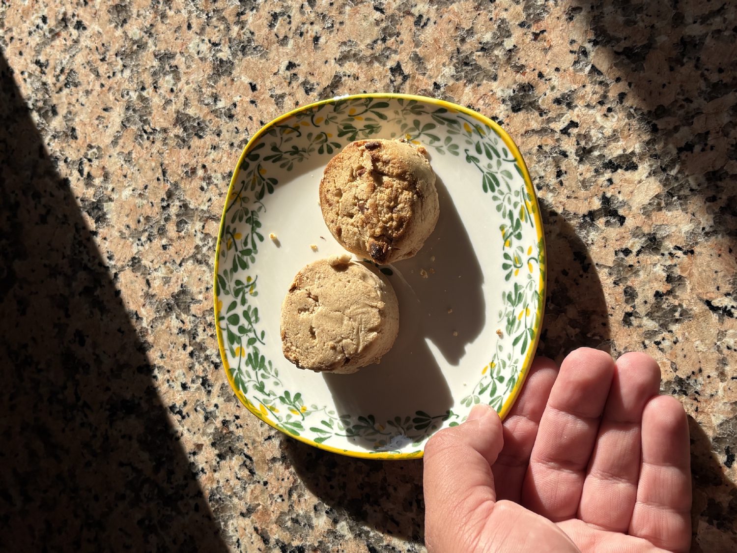 صورة ١٠٠ من ١٠٠ — صور ٠٩