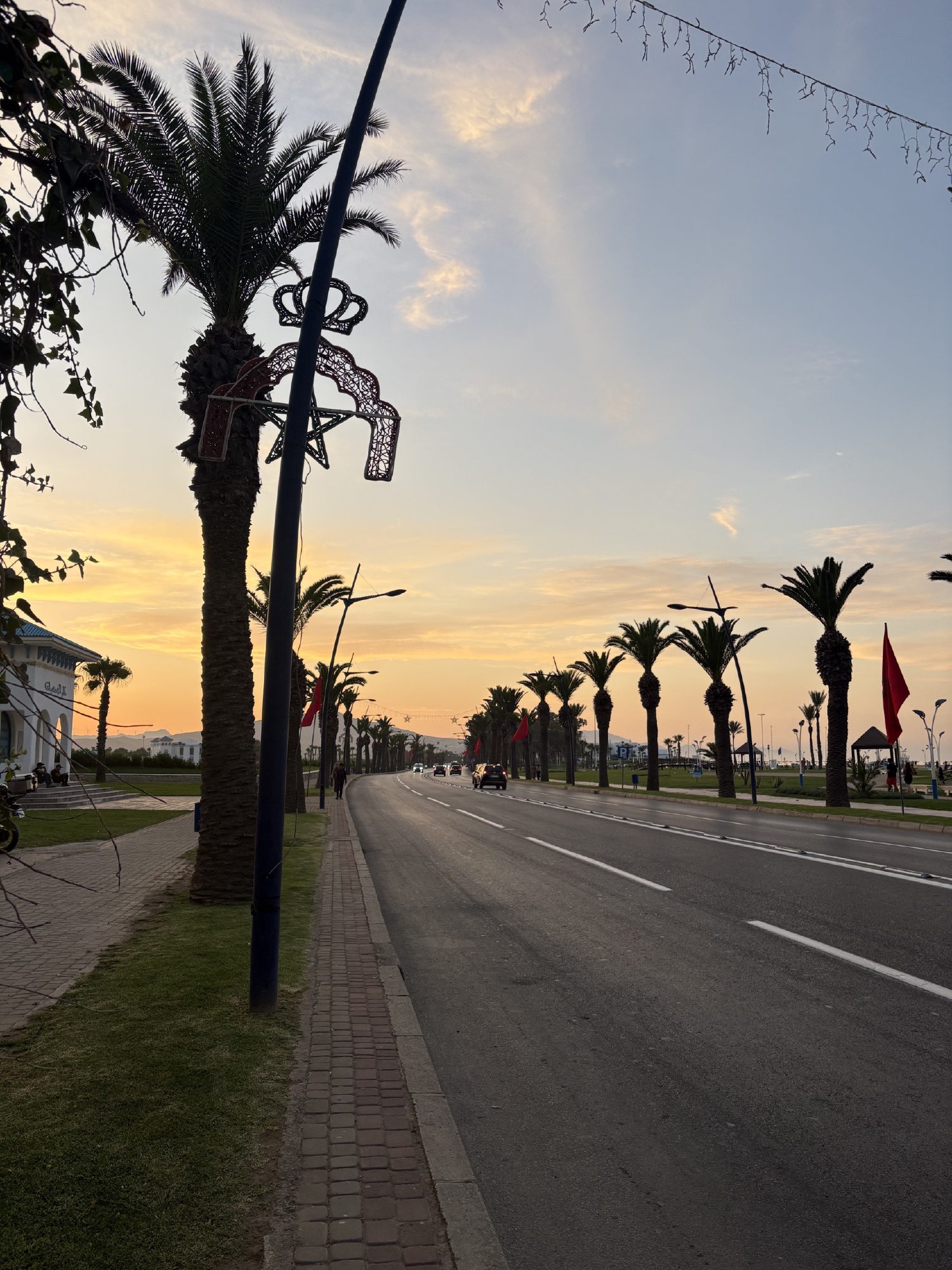 صورة ١٢ من ٤٠ — صور ١٠