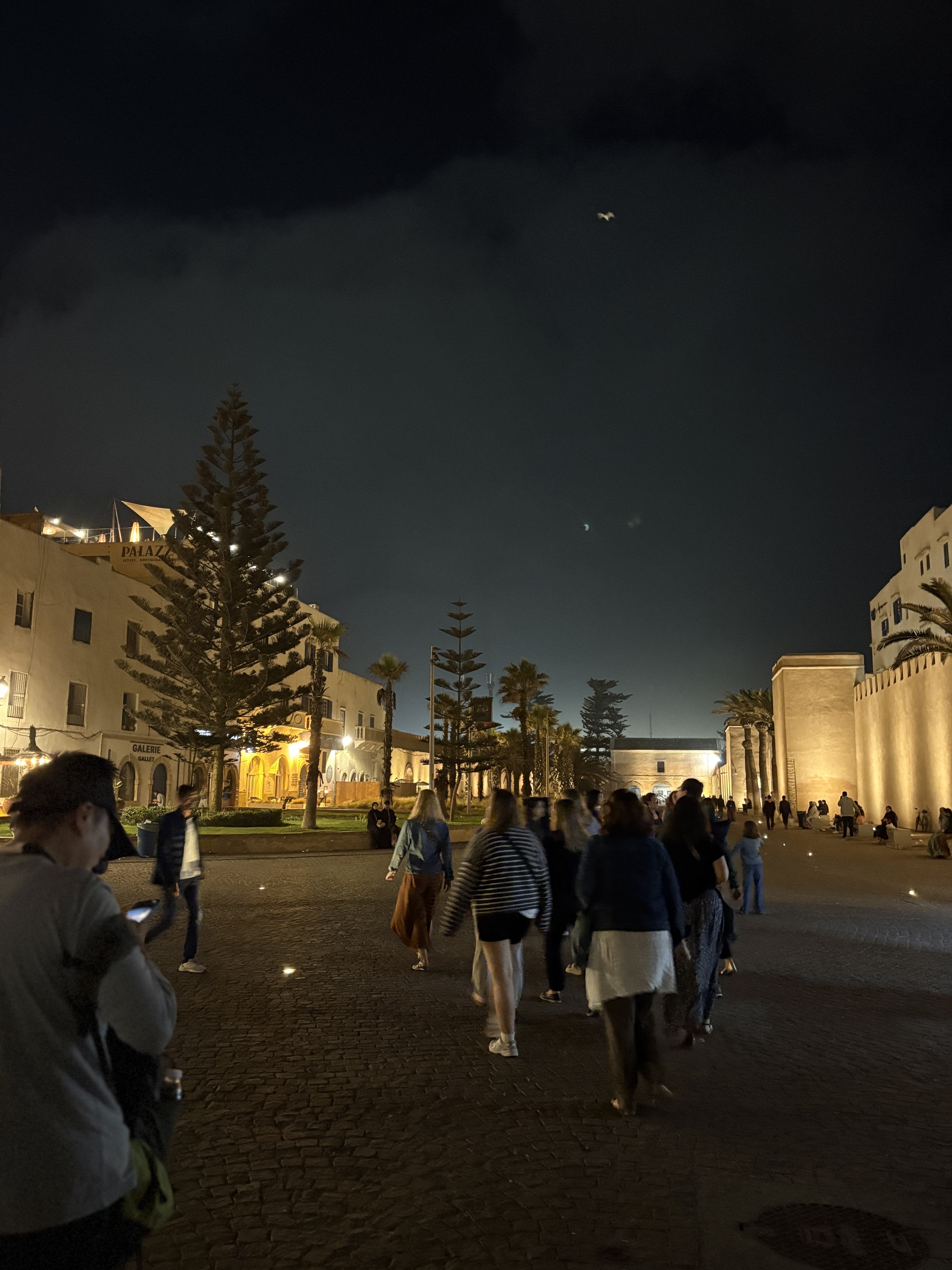 صورة 07-026